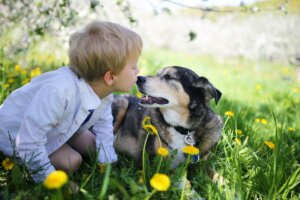 Affection entre un enfant et un chien.