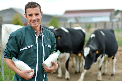 L'allaitement chez les animaux de ferme