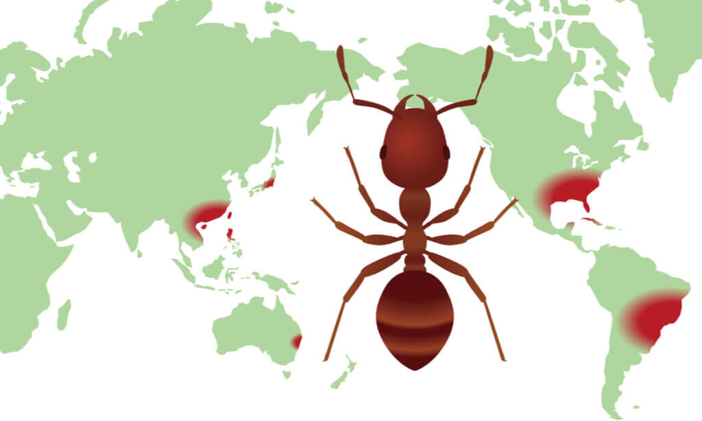Carte de répartition de la biodiversité : à quoi sert-elle?