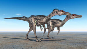 Vélociraptor : caractéristiques et faits curieux