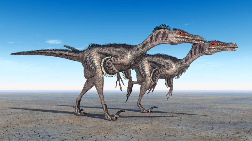 Vélociraptor : caractéristiques et faits curieux