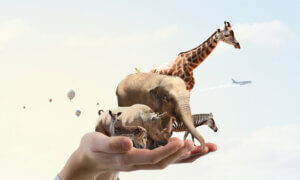 5 actions qui contribuent à la protection des animaux et de la planète