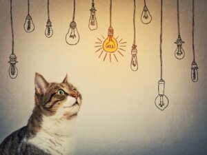 Les animaux peuvent-ils penser ?