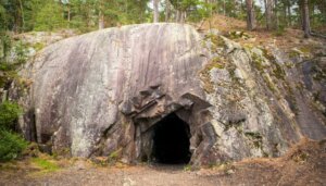 6 animaux trouvés dans la grotte de Movile