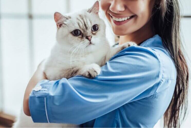 Médecine d'urgence des petits animaux : soins primaires et secondaires