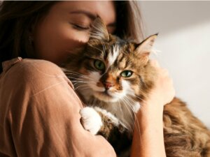 Les chats sont-ils jaloux ?