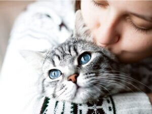 Un maître manque-t-il à son chat ?