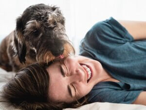 Les 11 races de chiens les plus affectueuses
