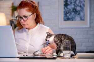 Pourquoi mon chat mange-t-il du tissu ou du plastique ?