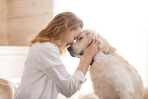 Pourquoi mon chien s'appuie-t-il sur moi ?