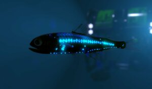 6 animaux qui peuplent les abysses