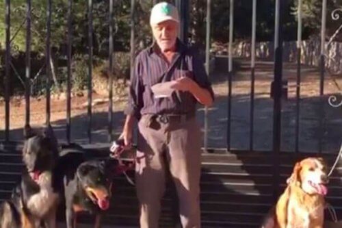 Le cancer l'oblige à trouver un foyer pour ses six chiens