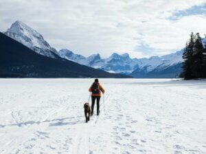 L'eTA et les autres procédures pour voyager au Canada avec un animal de compagnie