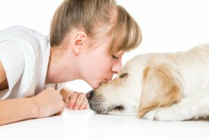 9 conseils pour prolonger la vie de votre chien