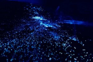 La présence de plancton et d'algues bioluminescentes sur les côtes