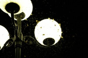 Pourquoi la lumière attire-t-elle les insectes ?