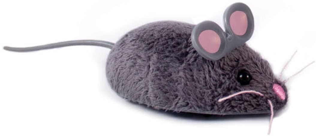 Souris robotique.