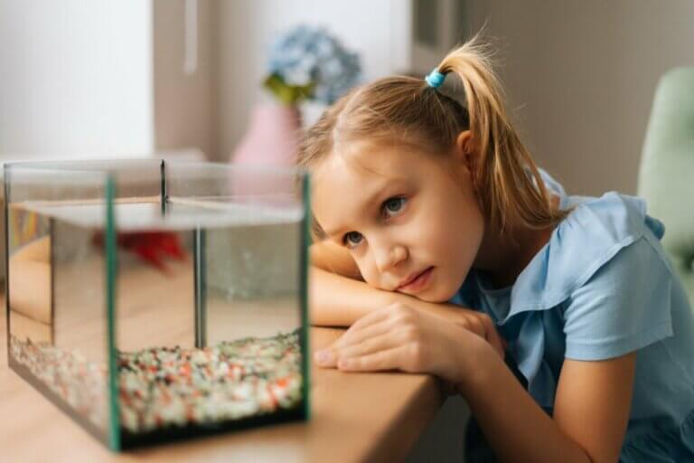 9 poissons pour un aquarium de 10 litres