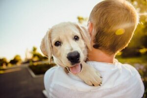 Les 5 animaux de compagnie les plus affectueux