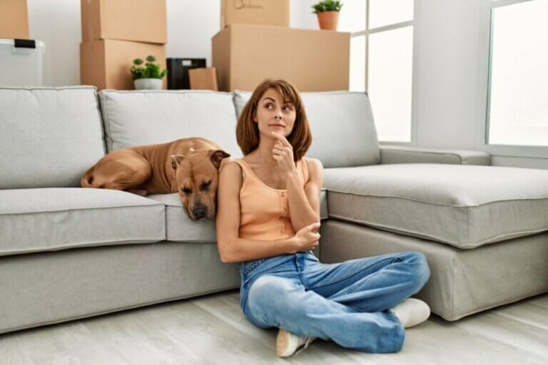 8 gestes chez les chiens que nous interprétons mal