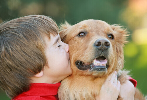 5 choses que les chiens perçoivent chez les humains