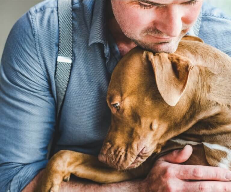 Mon chien détourne la tête quand je m'approche de lui... Pourquoi ?