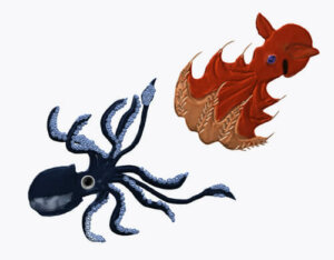 Quelles sont les différences entre le poulpe et le calmar ?