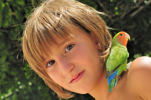 5 astuces pour faire parler un perroquet