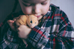 Communication du hamster : langage corporel et sons