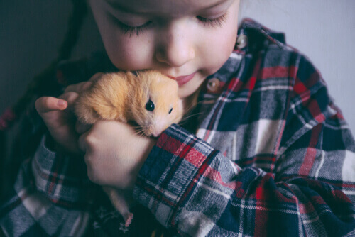 Communication du hamster : langage corporel et sons
