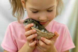 Comment savoir si mon hamster est heureux ?