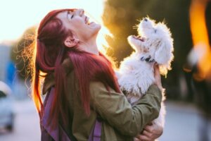 N'aboyez pas sur votre chien : pourquoi faut-il éviter cette tendance TikTok ?