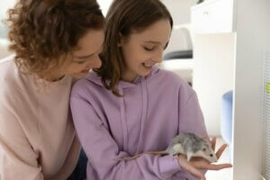 15 raisons d'avoir un rat domestique
