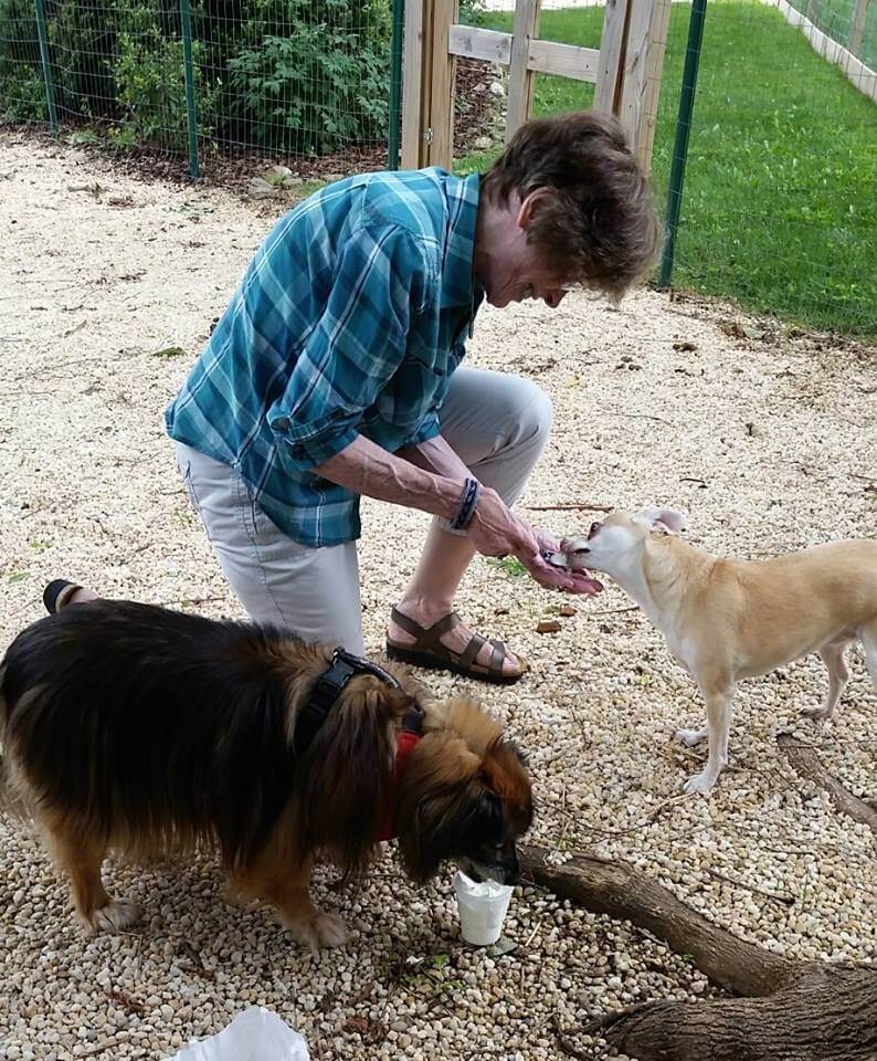 Sanctuaire pour chiens âgés.