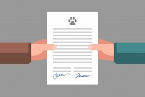La documentation légale que tout maître d'animal doit avoir