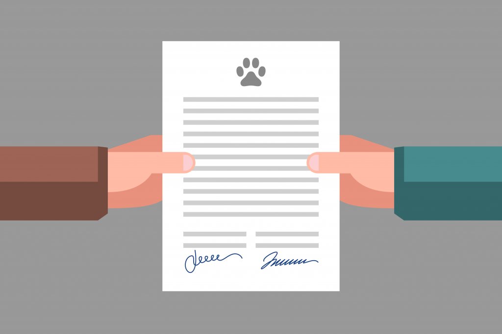 La documentation légale que tout maître d'animal doit avoir