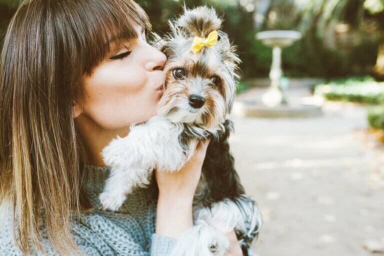 Anxiété chez le chien : 10 médicaments pour la traiter