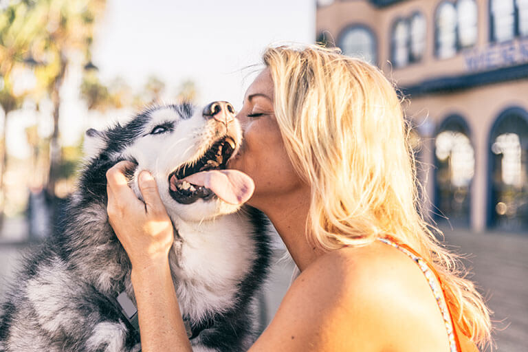 Comment les superstimuli affectent-ils les animaux?