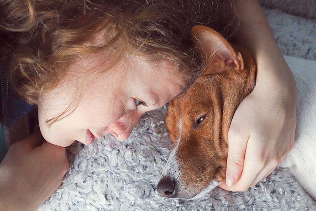 Deuil face à la mort de notre animal de compagnie
