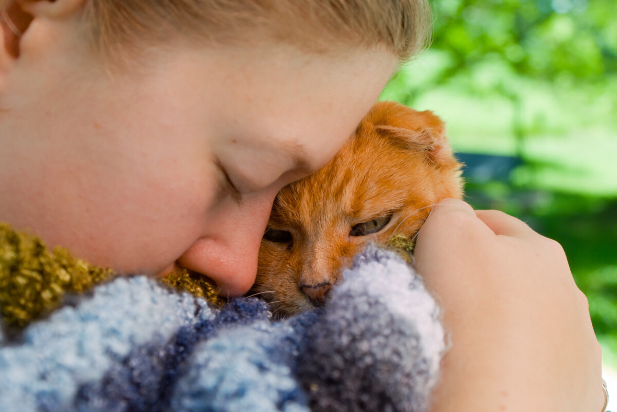 Les chats disent-ils au revoir avant de mourir ?