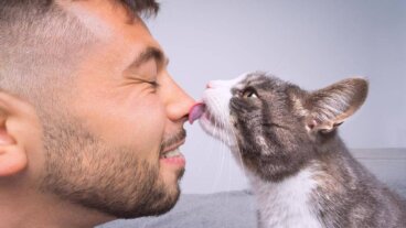 Pourquoi certains êtres attirent davantage les chats ?